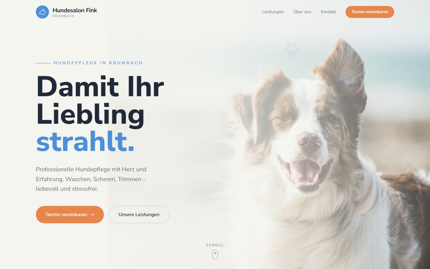 Hundesalon Fink Website