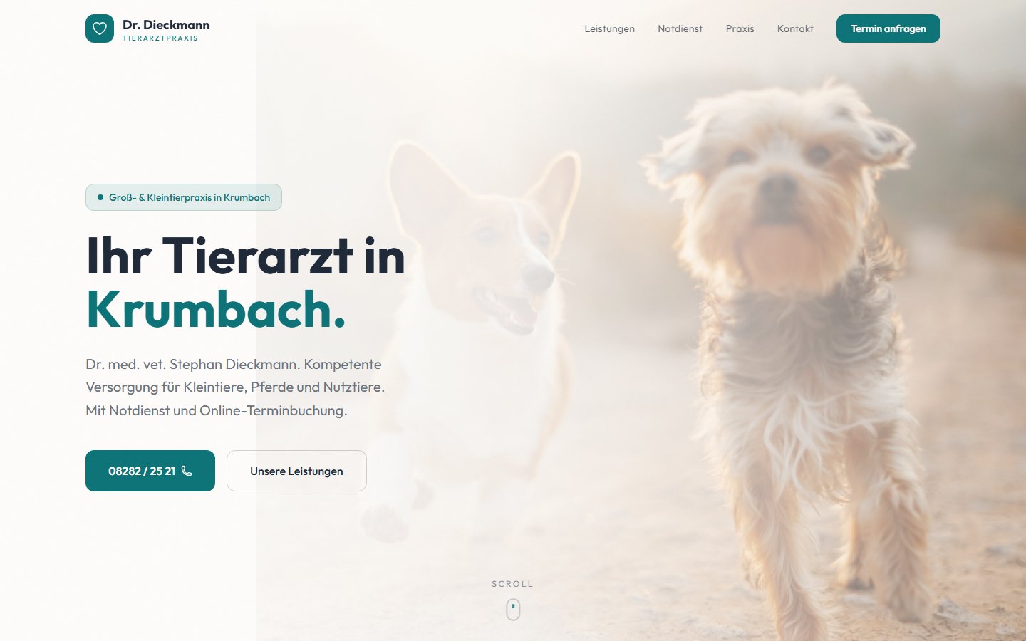 Tierarzt Dieckmann Website